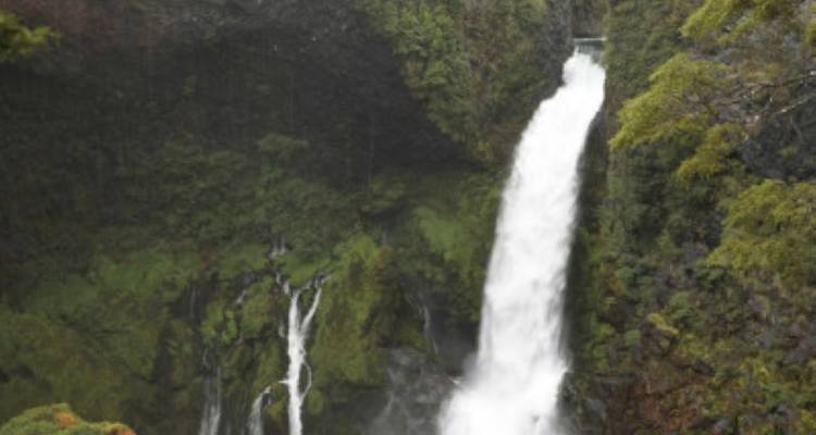 Rental Car Tour Araucania and Lake District - avenTOURa 6
