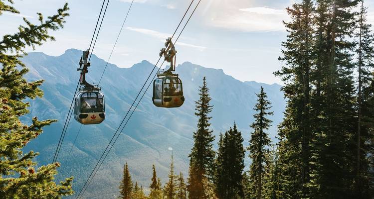 Two gondola lifts traveling over a forested landscape with mountains in the background.