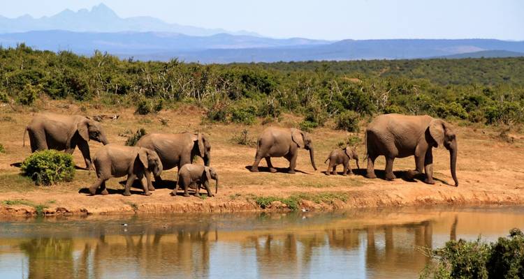 Safari en Kenia - grupo pequeño - Global Conquest 3