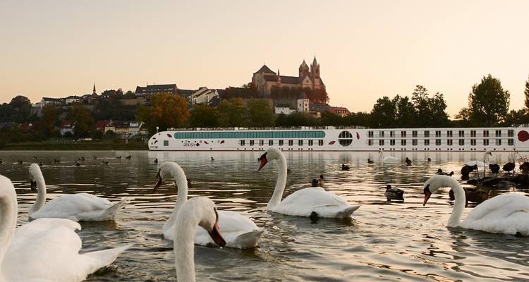 Rhine Experience Bingen 2025 - A-ROSA 9