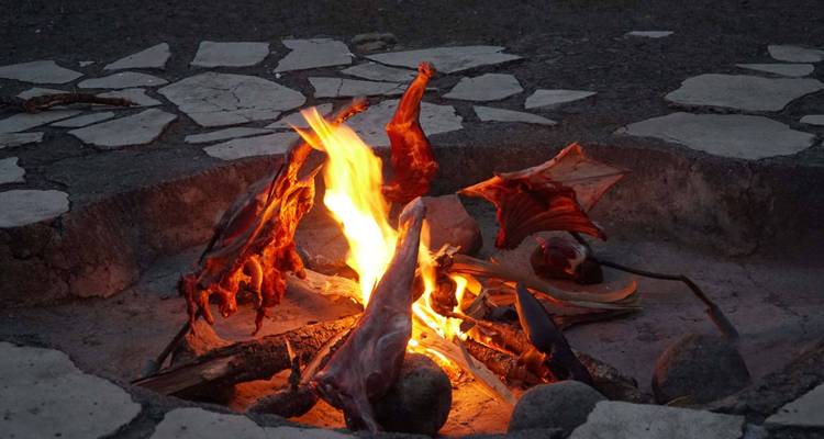 5 días - Aldea de Mukuru - PN Tarangire - Lago Eyasi y Cráter del Ngorongoro - Wonders of Creation Tours and Safaris 8