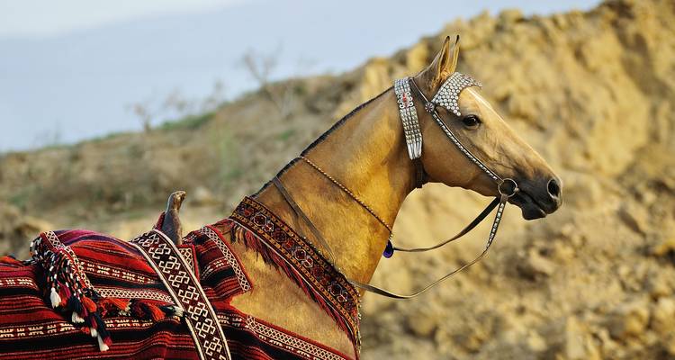 De Asjabad a Shavat (Circuito por Turkmenistán con salida a Jiva, Uzbekistán) - Stantrips 4