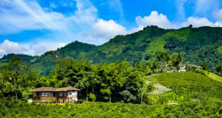 Best of Colombia - avenTOURa 3