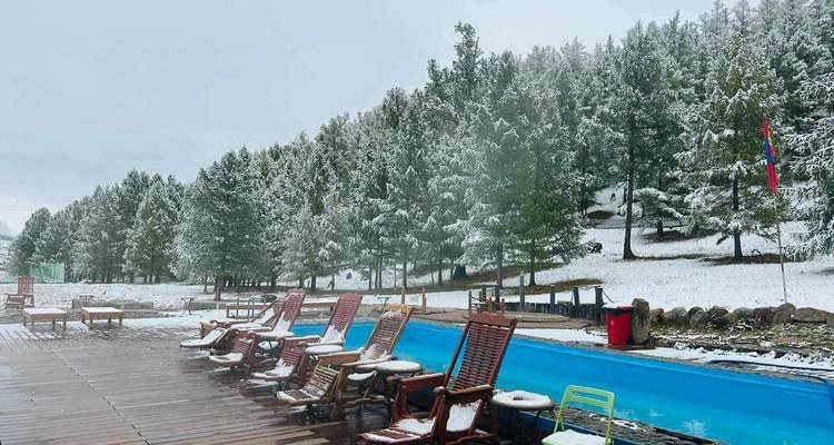 Buitenzwembad met houten ligbedden bedekt met verse sneeuw naast een dennenbos in het vroege winterseizoen.