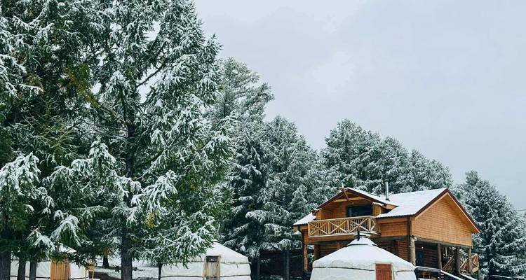 Sneeuwbedekte blokhut en traditionele Mongoolse yurts omgeven door hoge groenblijvende bomen na de sneeuwval.