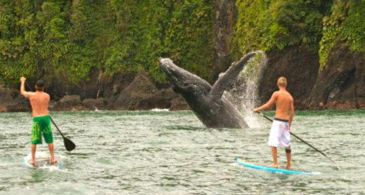 Colombia Undiscovered Pacific Coast - avenTOURa 2