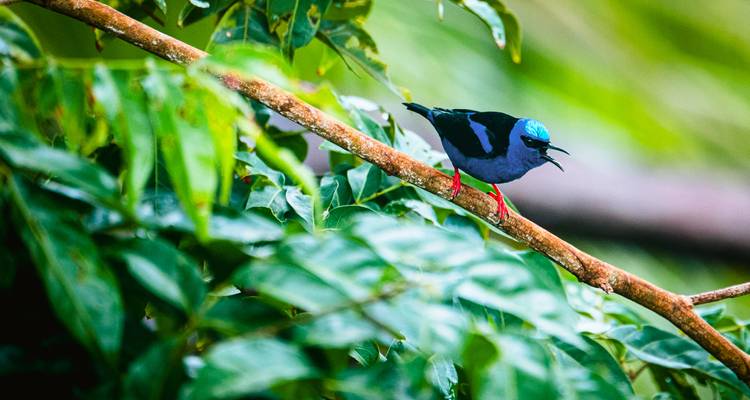 Colombia Undiscovered Pacific Coast - avenTOURa 3
