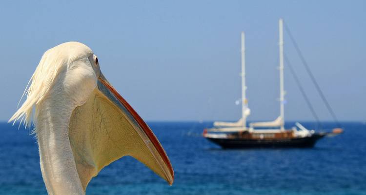 13 días Atenas, Mykonos, Santorini y Creta. - Remaz Tours GmbH 2