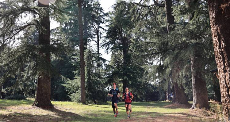 Croatie Trail Running Holidays - Istrie - LIFE Adventures 7