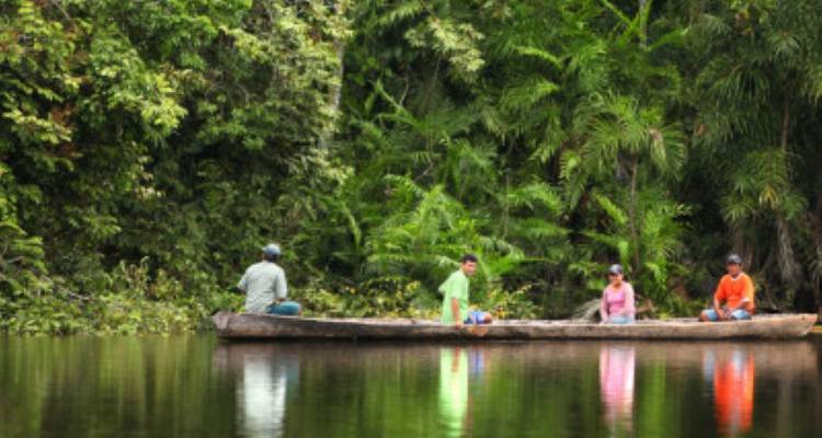 Personas navegando en canoa en un río tropical exuberante.