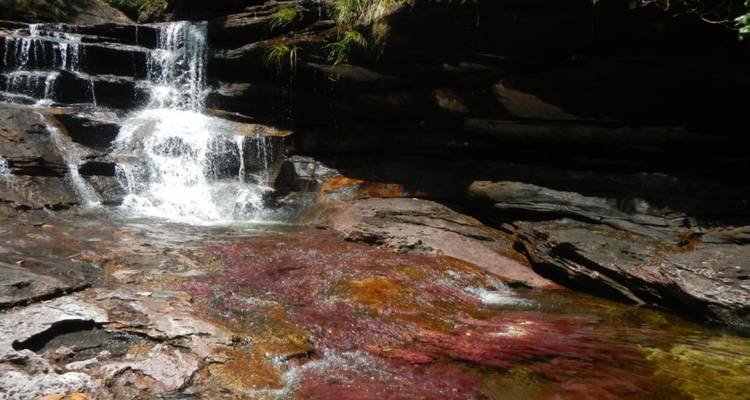 Wasserfall über bunte Felsen in einem üppigen Wald.