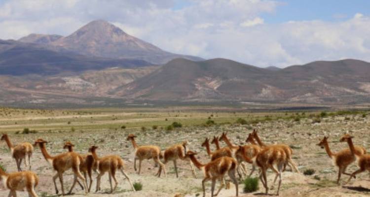 Peru Focus - avenTOURa 4