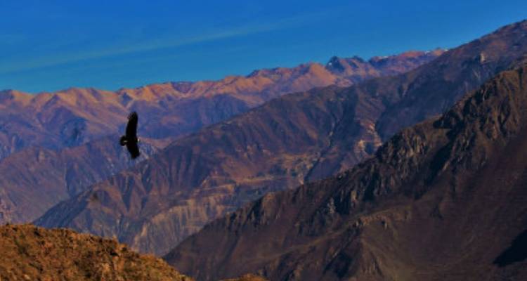 Peru Focus - avenTOURa 6