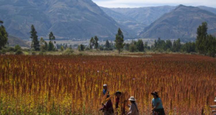 Peru Focus - avenTOURa 9
