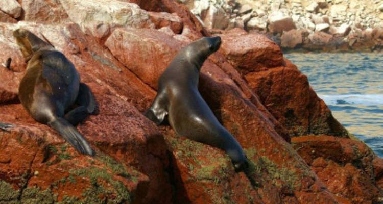 Alquiler de coches de aventura en Perú ida y vuelta de Lima a Cusco - avenTOURa 2