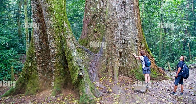Hanoi - Ninh Binh 2 días (Hoa Lu, Tam Coc, Parque Nacional de Cuc Phuong) - Asia Focus Travel 9