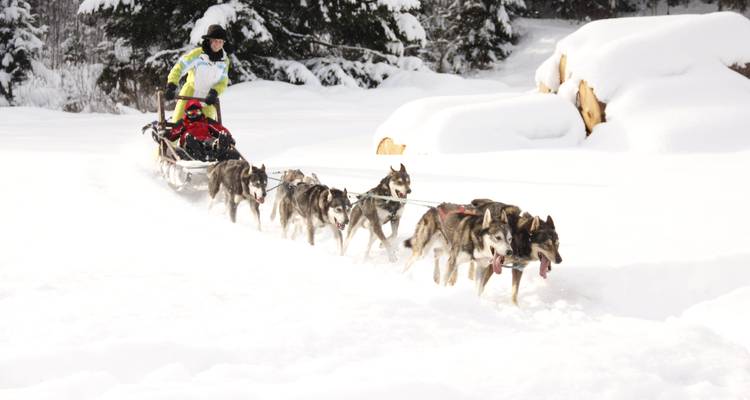 Winter Walking and Activity Holiday - Tatra Escapes 3