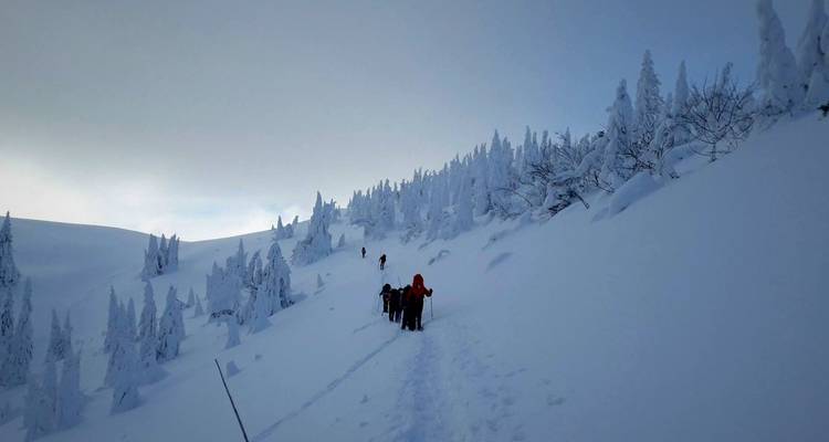 Winter Walking and Activity Holiday - Tatra Escapes 6