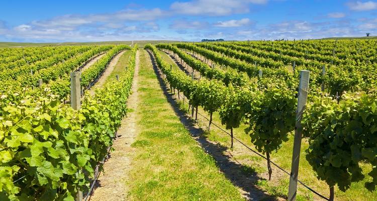 Enchanting New Zealand - 16 days - On The Go Tours 7