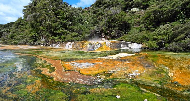 North Island Explorer - 11 days - On The Go Tours 5