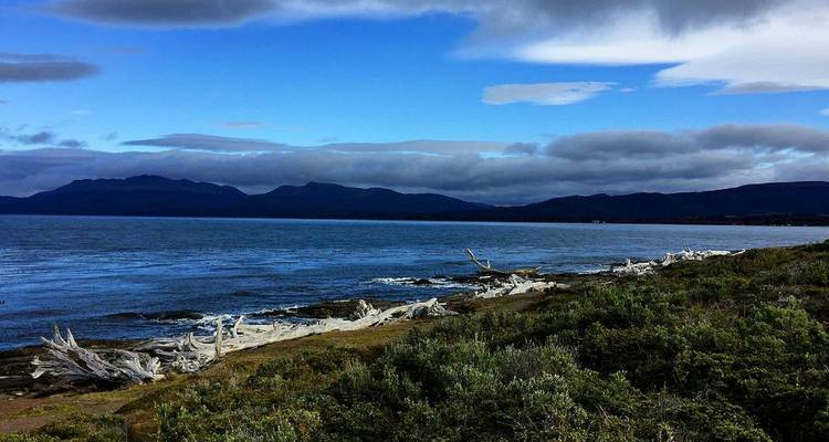 Expedición Antártida y Patagonia en profundidad | Hacia el norte - Hurtigruten 4
