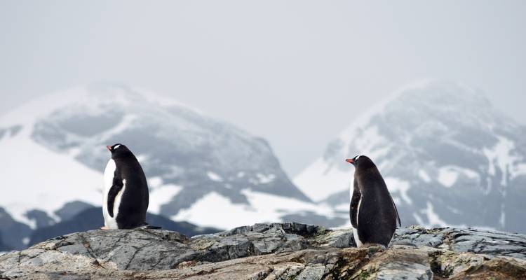 Expedición Antártida y Patagonia en profundidad | Hacia el norte - Hurtigruten 6