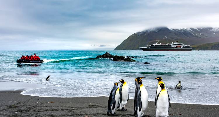 Expedición a la Antártida y las Malvinas - Rumbo norte - 2025 - Hurtigruten 3
