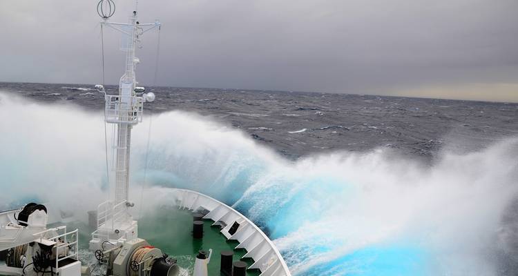 Expedición a la Antártida y las Malvinas - Rumbo norte - 2025 - Hurtigruten 6