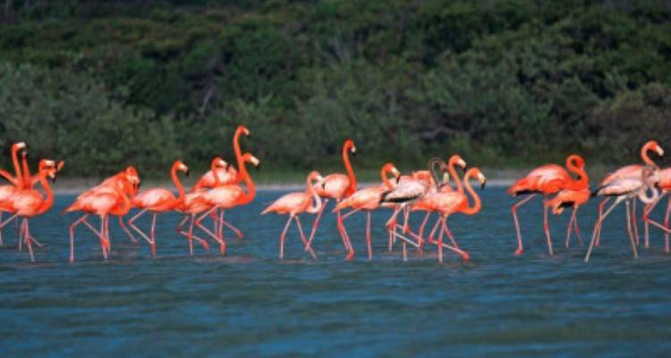 Experience all Facets of the Dominican Republic - avenTOURa 3