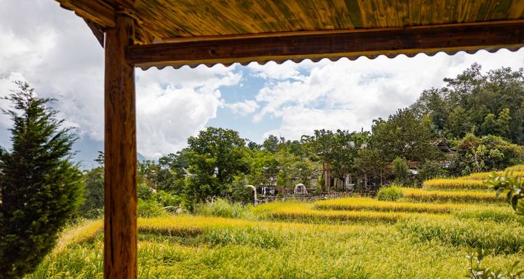 Hanoi - Sapa 3D2N trekking avec guide local et nuit en bungalow au village de Ta Van - Best Vietnam Tours 1
