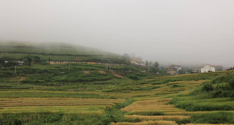 Hanoi - Sapa 3D2N trekking avec guide local et nuit en bungalow au village de Ta Van - Best Vietnam Tours 2