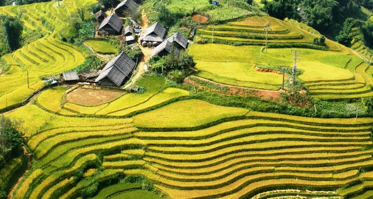 Hanoi - Sapa 3D2N trekking avec guide local et nuit en bungalow au village de Ta Van - Best Vietnam Tours 6