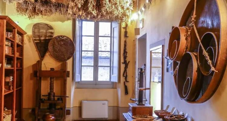 Tuscany Cooking & Yoga Tour - Caspin Journeys 7