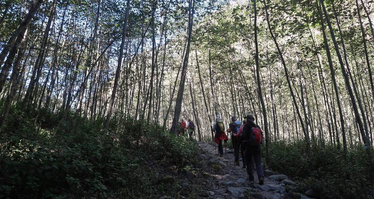 Trek de la vallée du Langtang - 6 jours - Glorious Himalaya Trekking Pvt. Ltd. 6