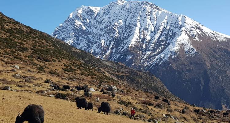 Manaslu Circuit Trek - 11 Days - Glorious Himalaya Trekking Pvt. Ltd. 2