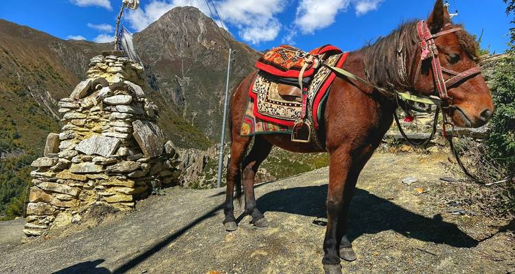 Annapurna Circuit with Ghorepani Poon Hill Trek - 15 Days - Glorious Himalaya Trekking Pvt. Ltd. 6