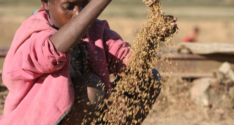 Oriente tropical - Authentic Madagascar Tours 3