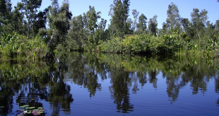 Oriente tropical - Authentic Madagascar Tours 7