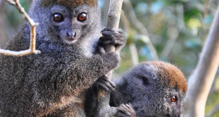 La diversité du Sud - Authentic Madagascar Tours 5