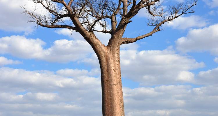 La diversité du Sud - Authentic Madagascar Tours 2