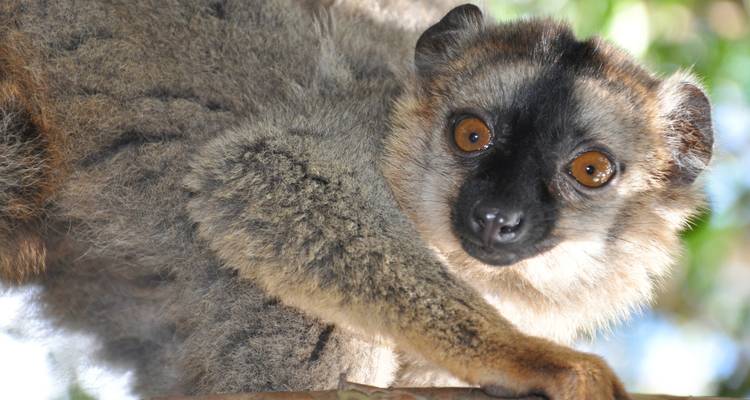 La diversité du Sud - Authentic Madagascar Tours 8