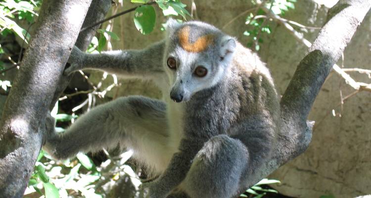 Les charmes du nord de Madagascar - Authentic Madagascar Tours 3