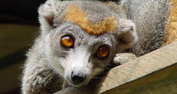 Les charmes du nord de Madagascar - Authentic Madagascar Tours 7