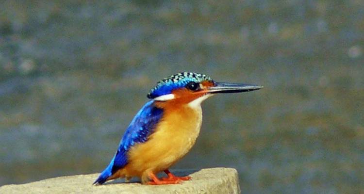 La Grande Aventure - Authentic Madagascar Tours 3
