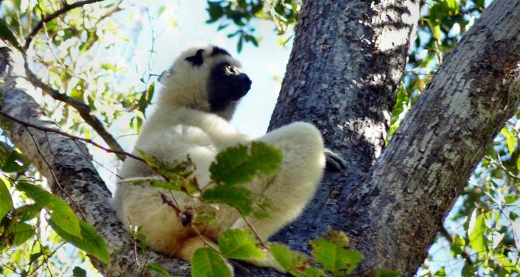 La Grande Aventure - Authentic Madagascar Tours 4