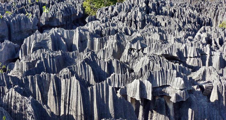 La Grande Aventure - Authentic Madagascar Tours 6