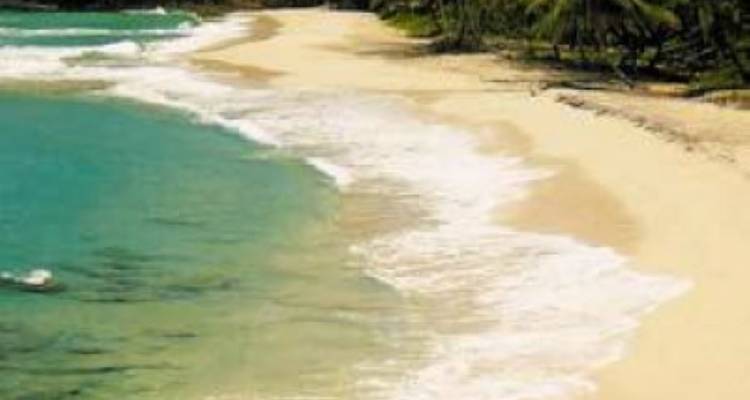 Sailing Trip to the Dream Islands of the Grenadines - avenTOURa 7