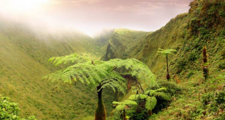 Martinique Découverte Active - avenTOURa 1