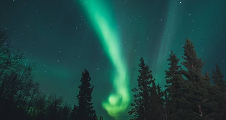 Yukon Winter Adventure With Aurora, Snowmobiling, Dog Sledding & More from Vancouver - Landsby 2