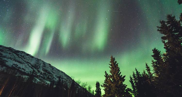 Yukon Winter Adventure With Aurora, Snowmobiling, Dog Sledding & More from Vancouver - Landsby 4